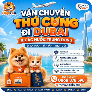 VẬN CHUYỂN THÚ CƯNG ĐI DUBAI & UAE
