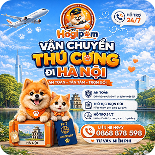 VẬN CHUYỂN THÚ CƯNG ĐI HÀ NỘI