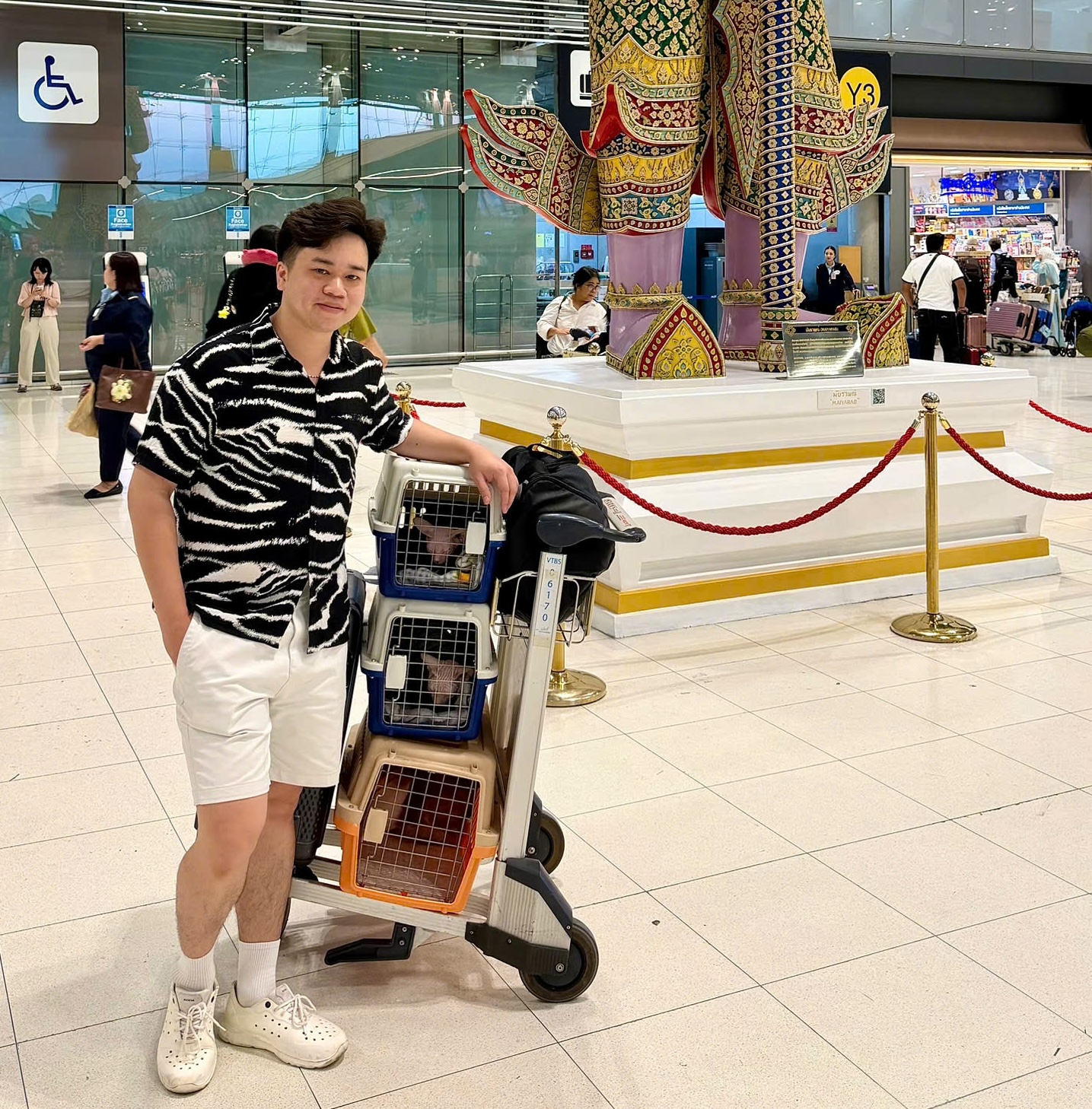 VẬN CHUYỂN THÚ CƯNG ĐI THÁI LAN