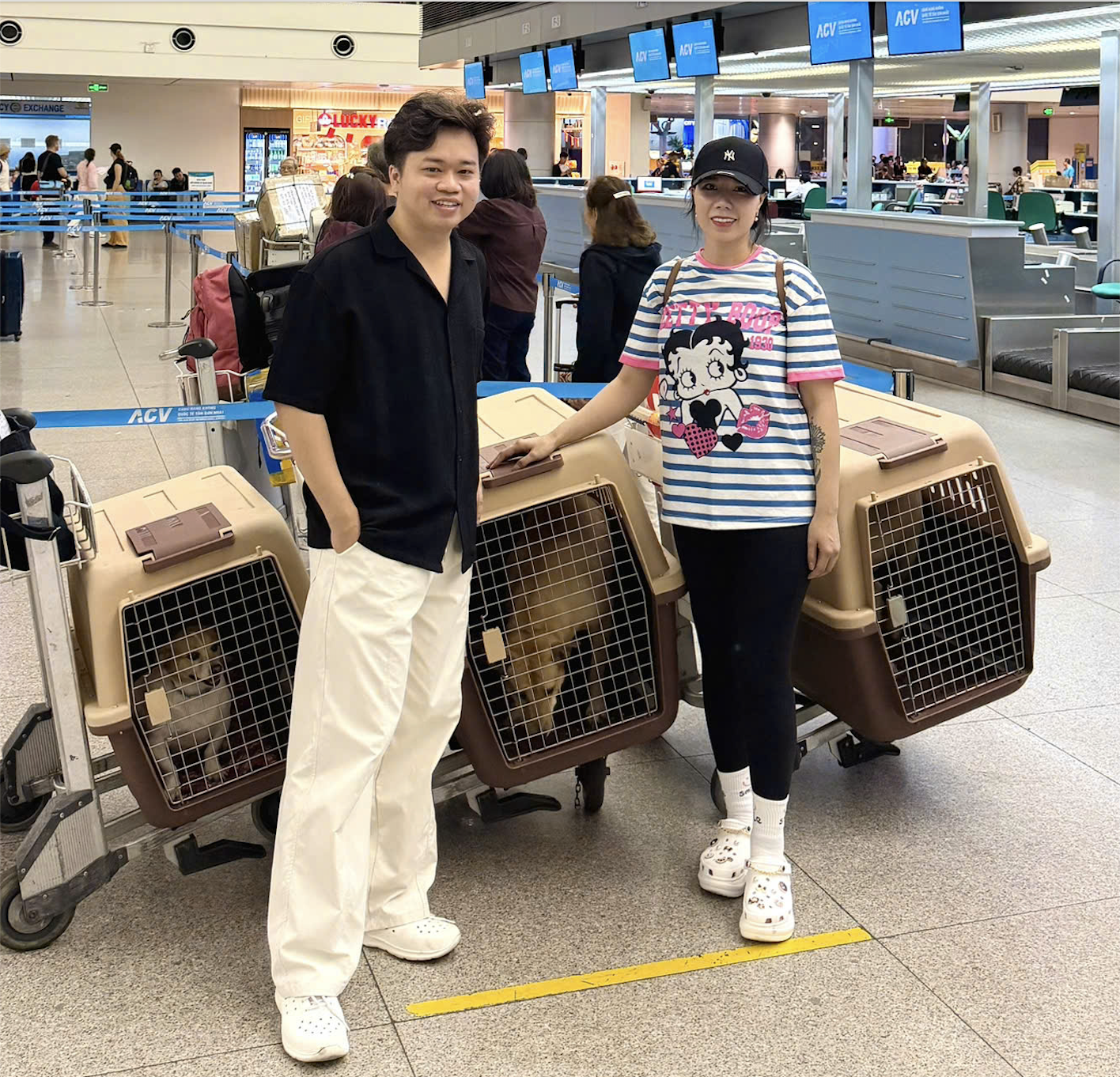 VẬN CHUYỂN THÚ CƯNG ĐI MỸ