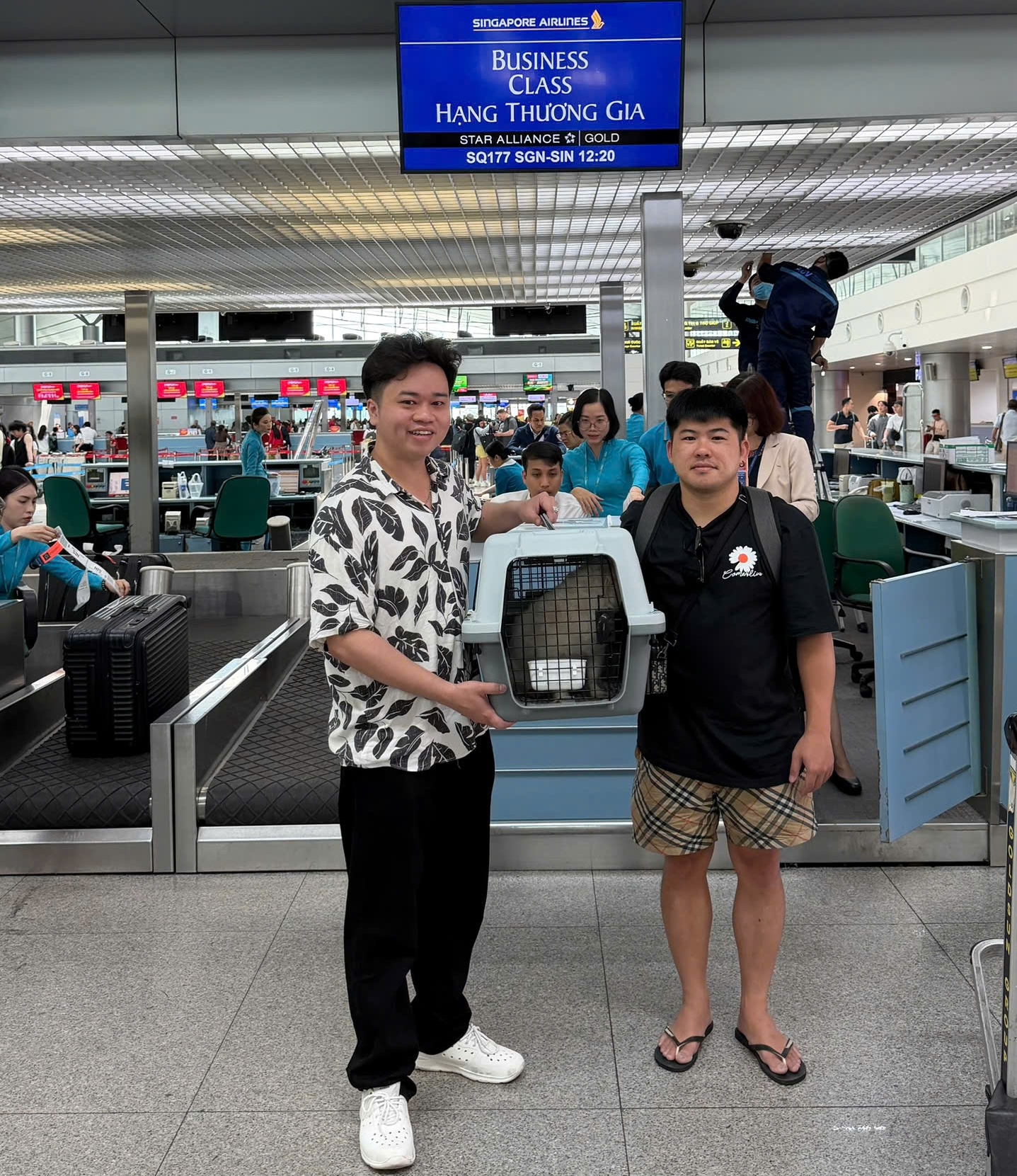VẬN CHUYỂN THÚ CƯNG ĐI MALAYSIA