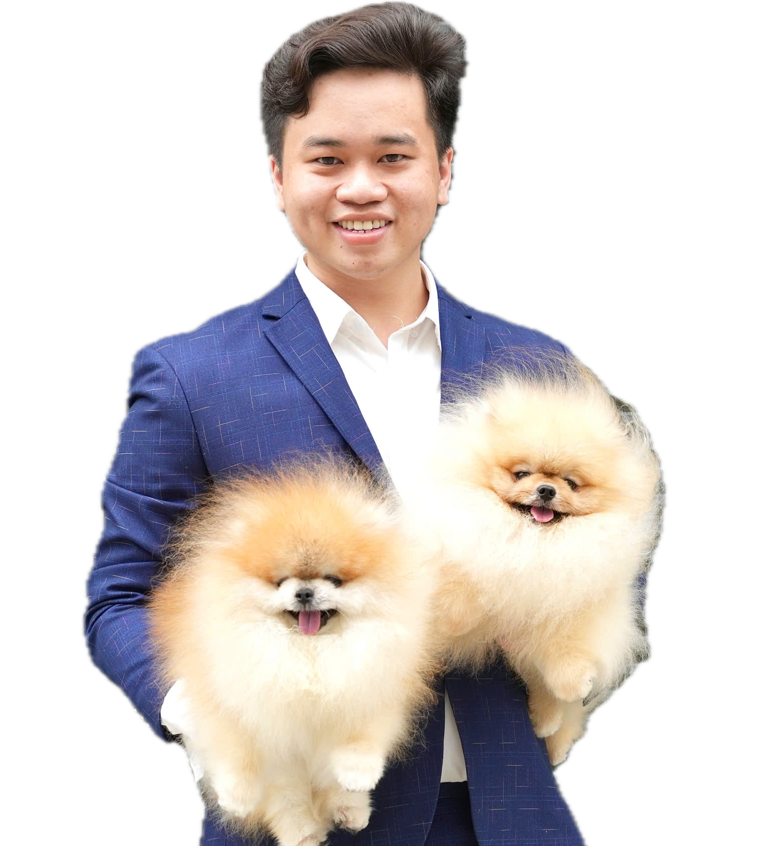 Hogipom