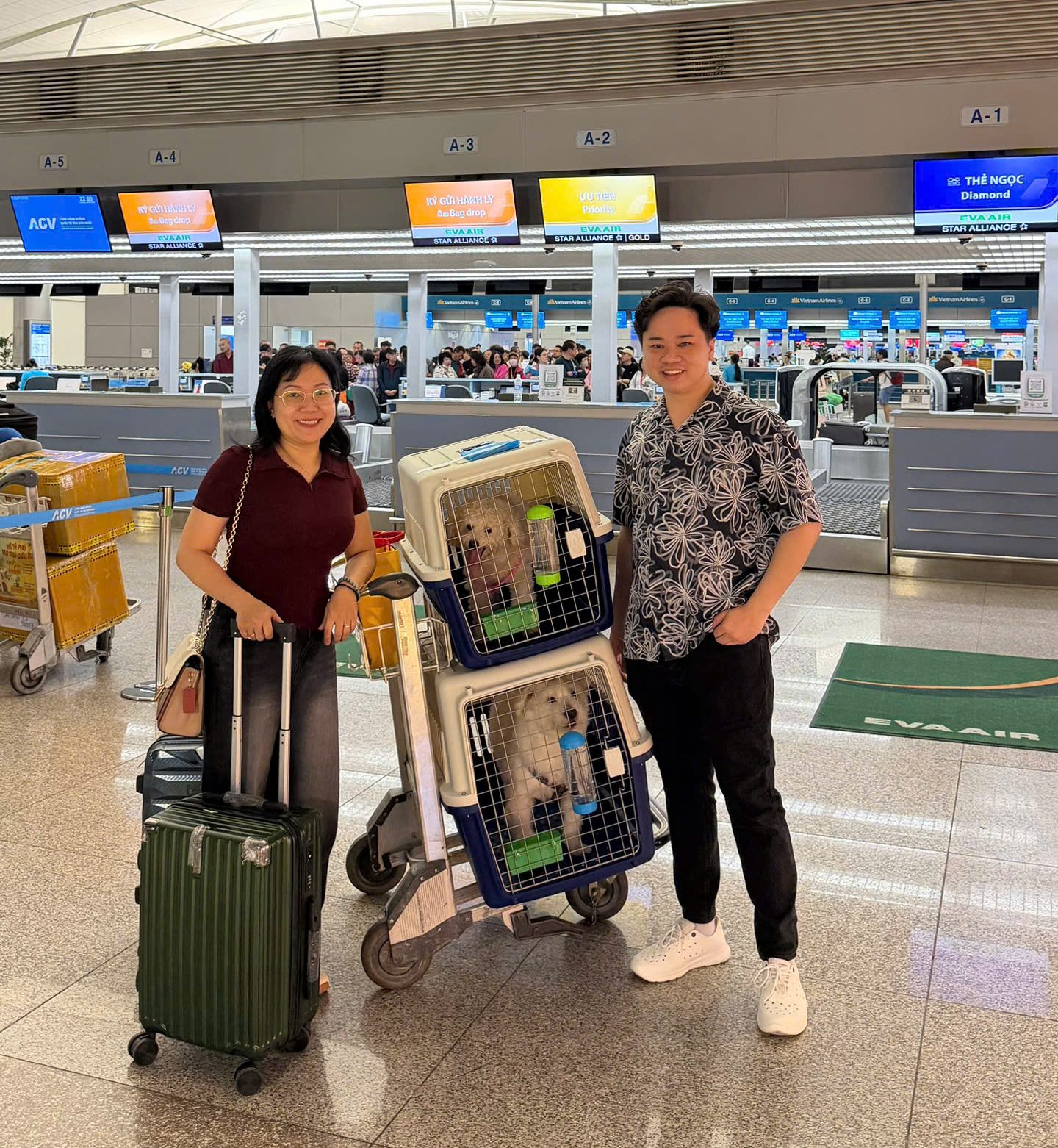 VẬN CHUYỂN THÚ CƯNG ĐI HÀ NỘI